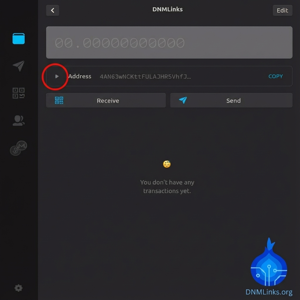 Accessing Wallet Details